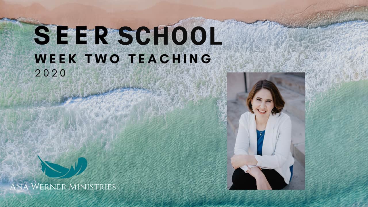 Week 2 - December 2020 School