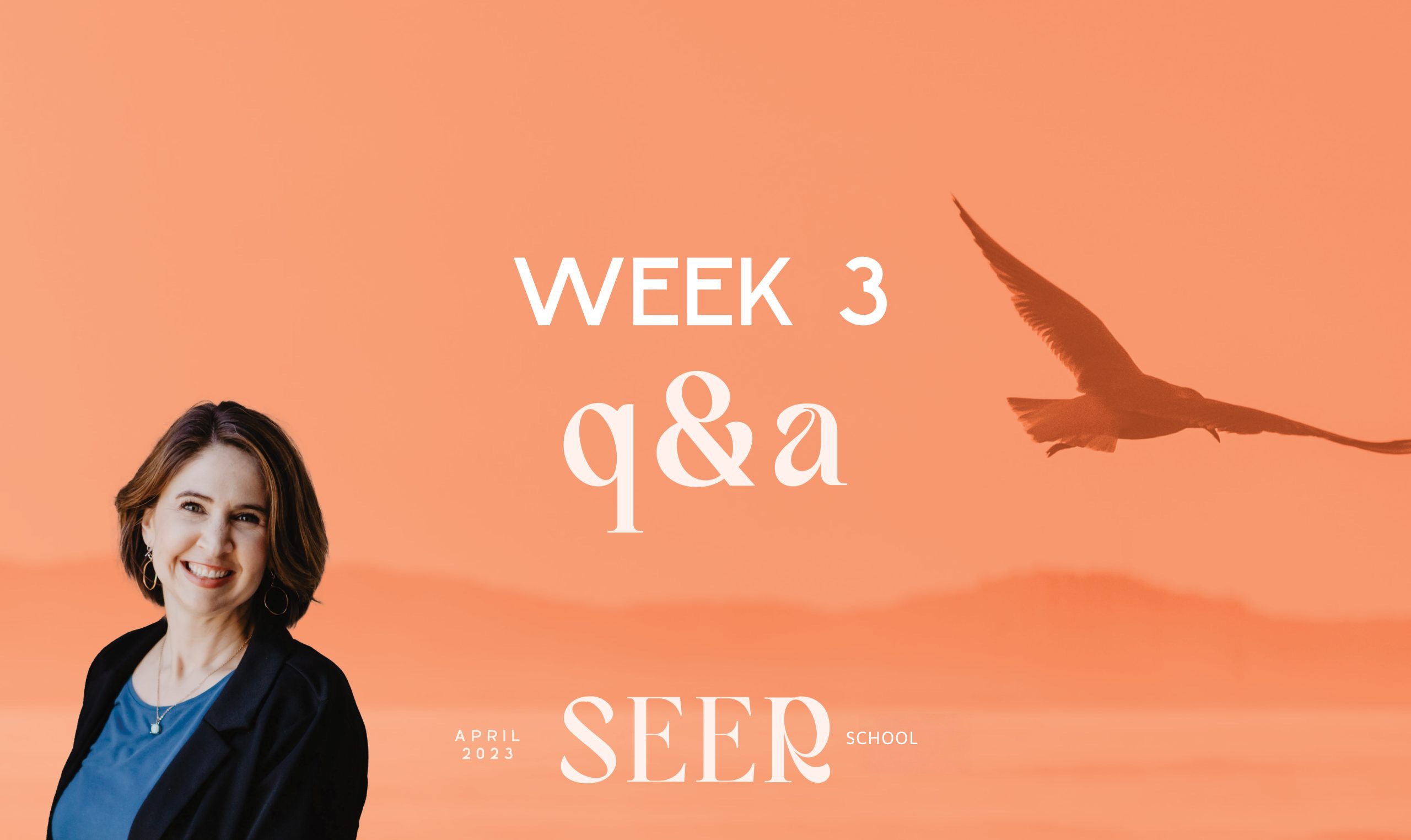 Week 3 Q&A - Seer School 2023