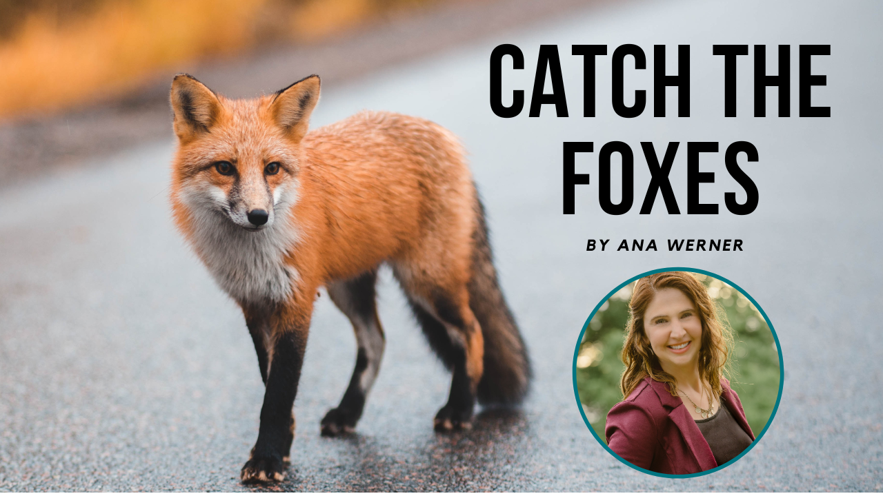 Catch The Foxes