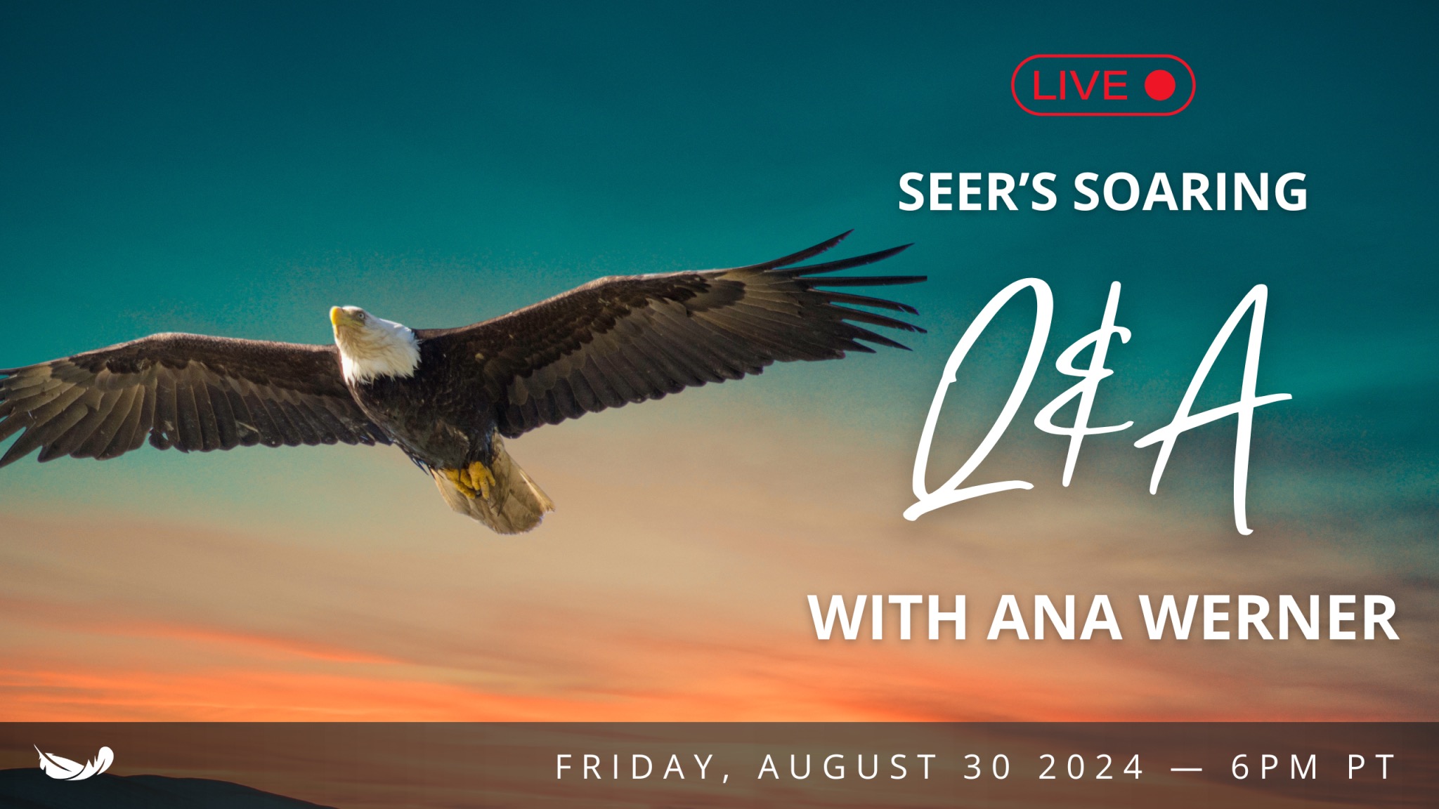Seer Soaring Q&A - August 2024