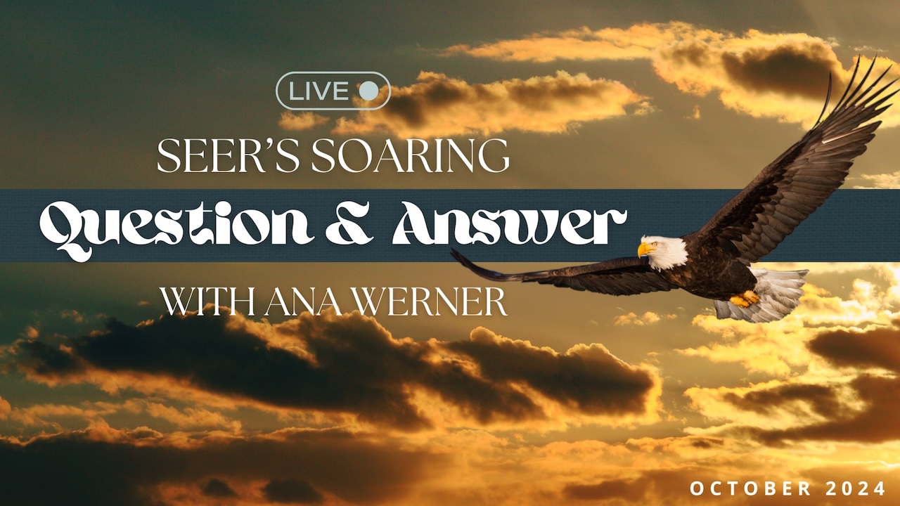 Seer Soaring Live Q&A - October 2024