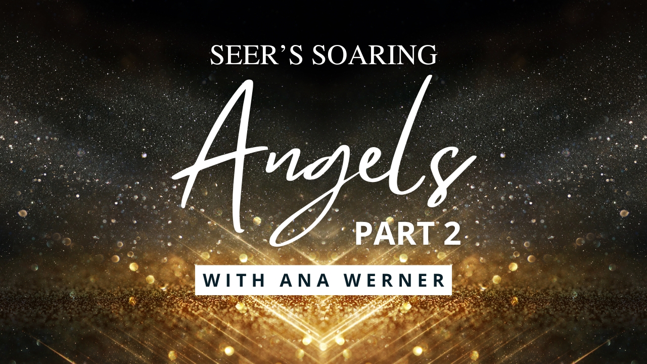Seer’s Soaring LIVE Q&A - January 2024