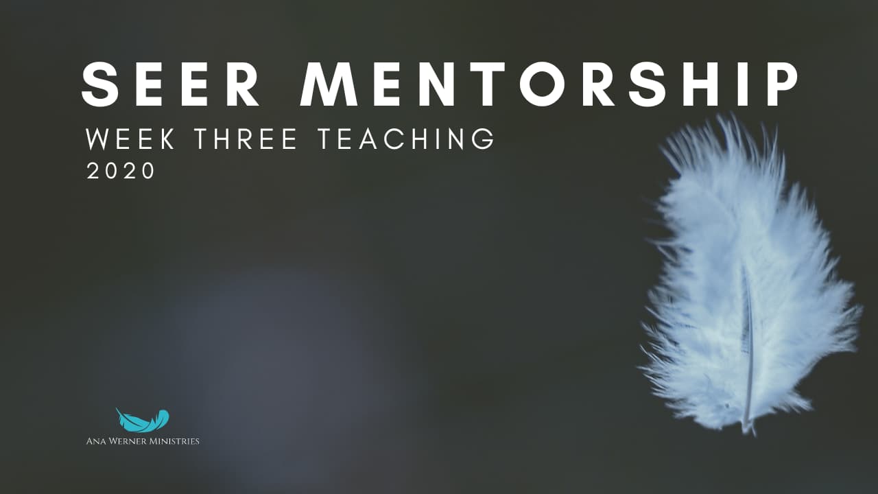 Week 3 - December 2020 School