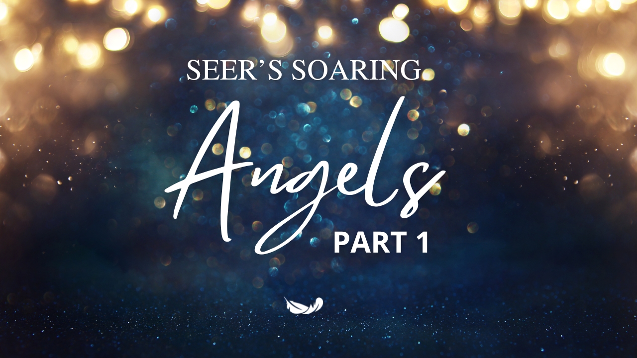 Seer’s Soaring LIVE Q&A - Dec 2024