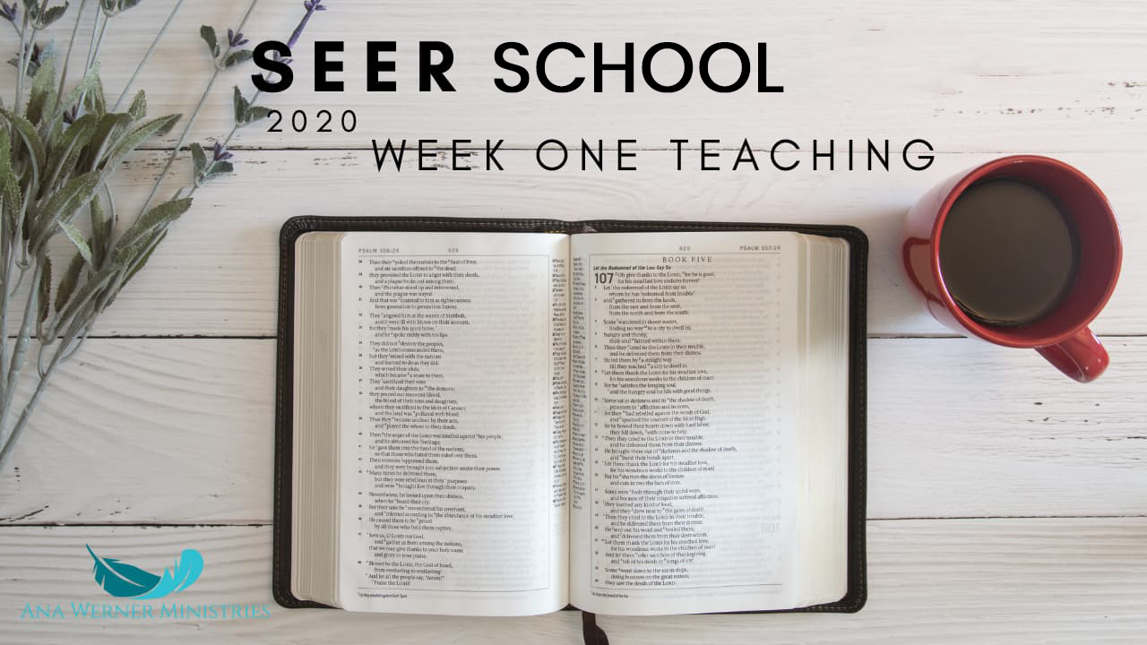 Week 1 - March 2020 Seer School