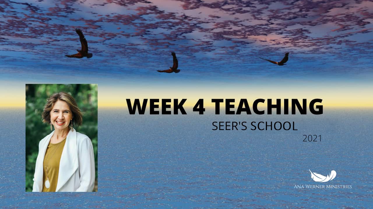 Week 4 - May 2021 School