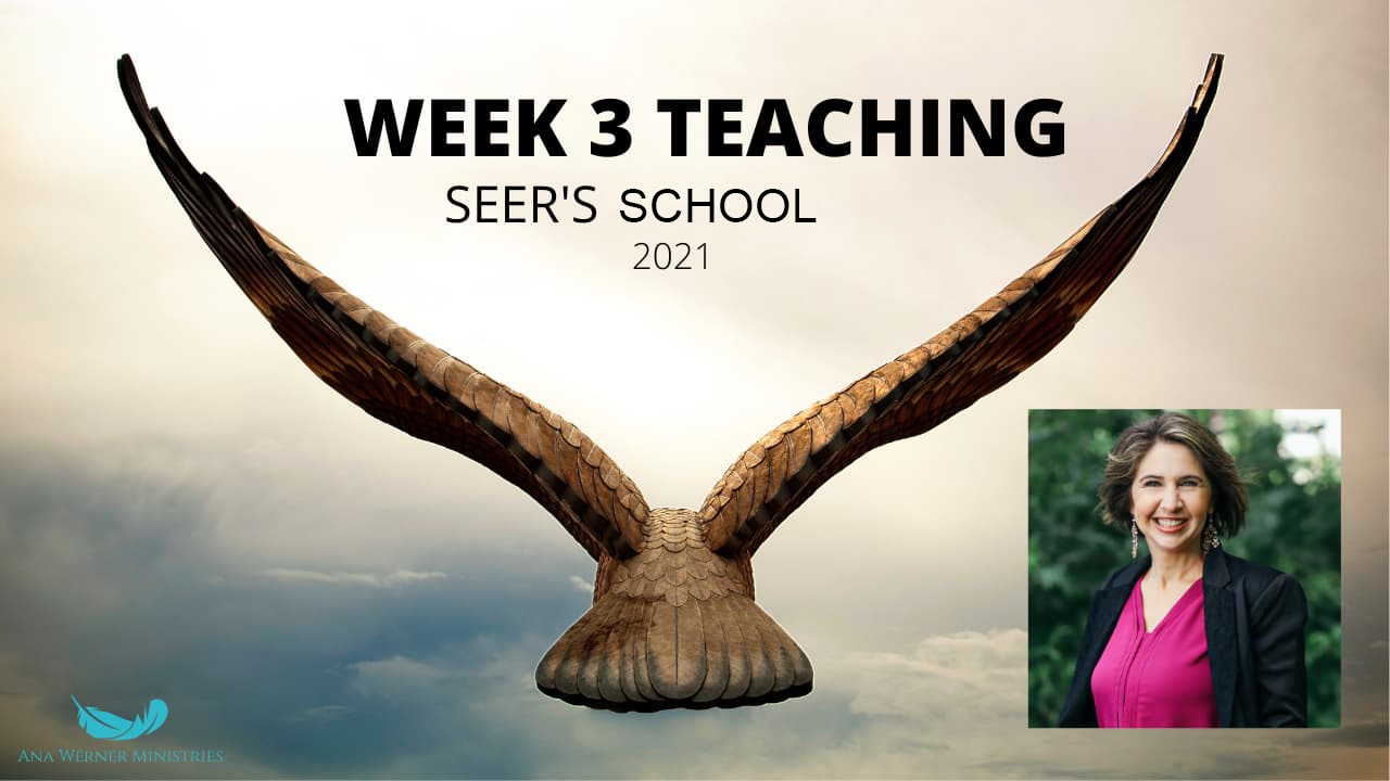 Week 3 Session 2 - October 2021 School