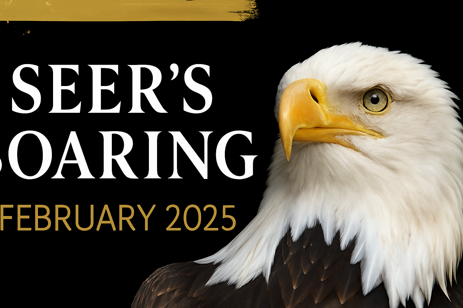 Seers Soaring | February 2025