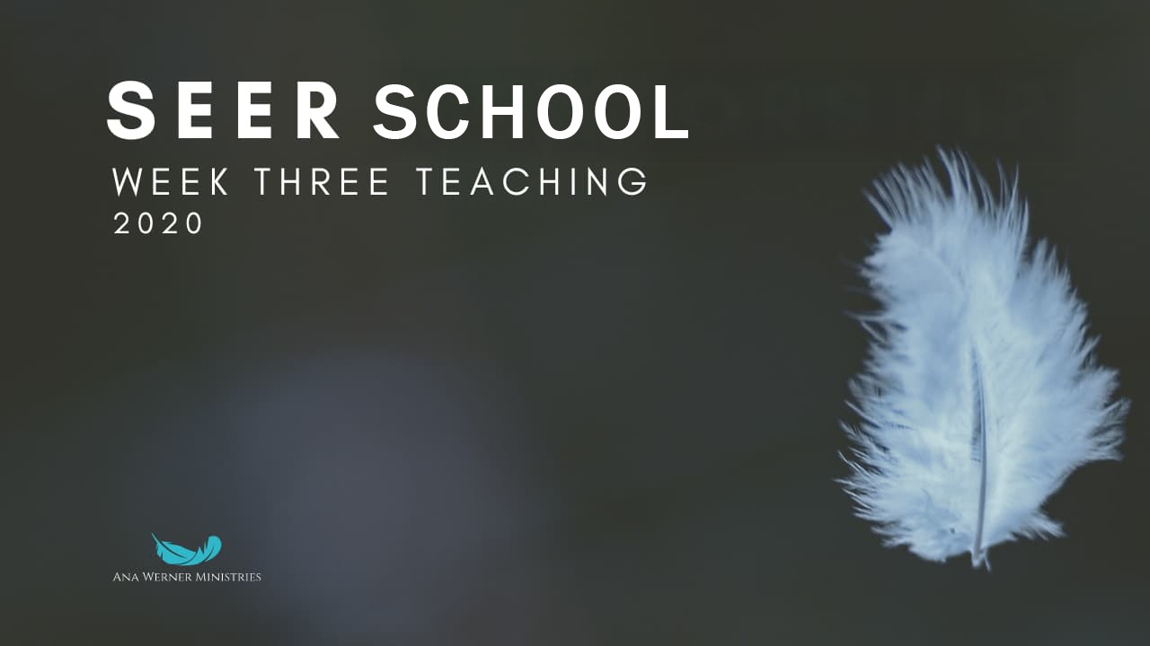 Week 3 - July 2020 School