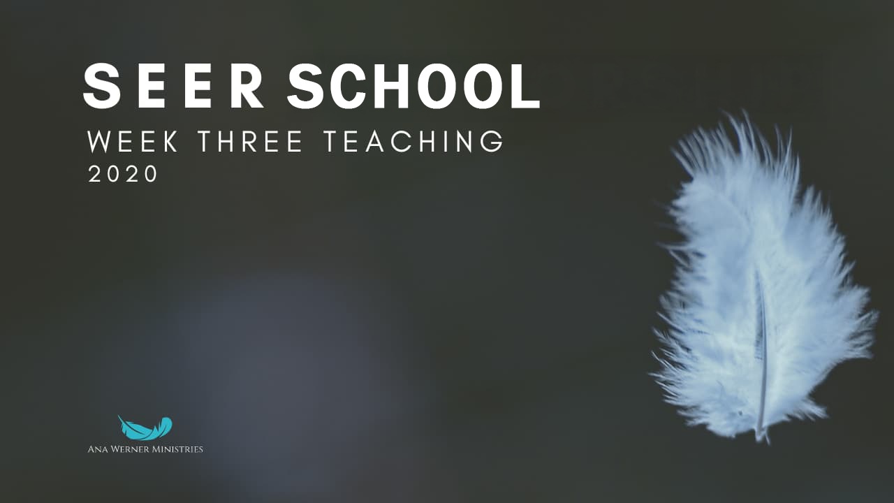 Week 3 Session 2 - December 2020 School