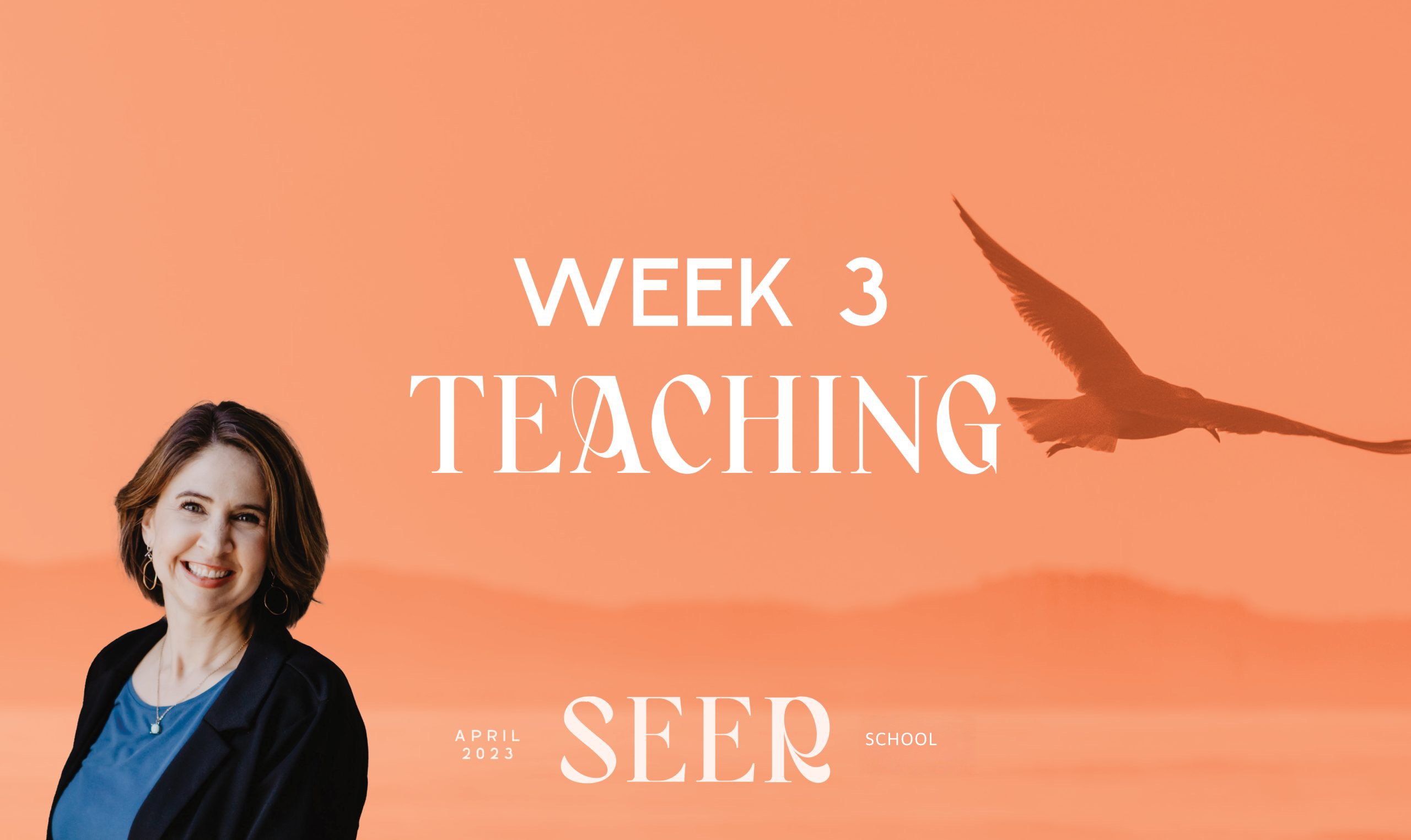 Week 3 Teaching - April School 2023