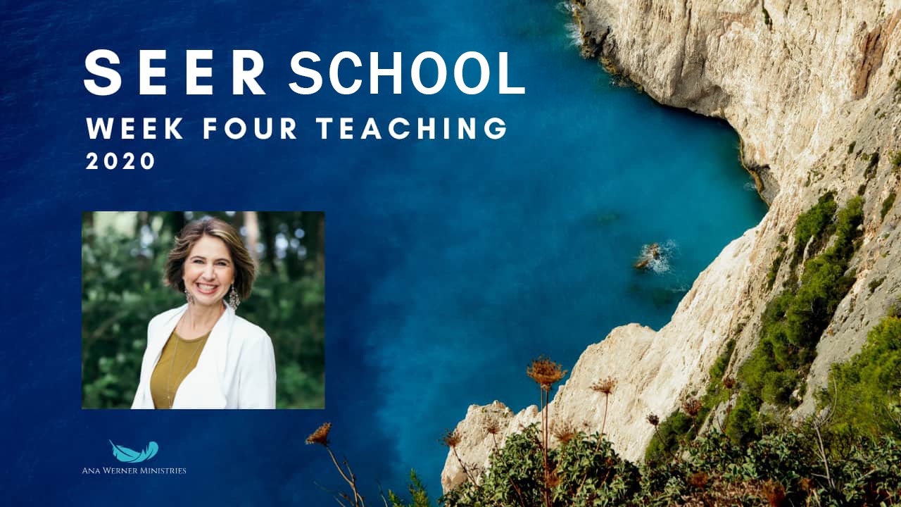 Week 4 | July 2020 School